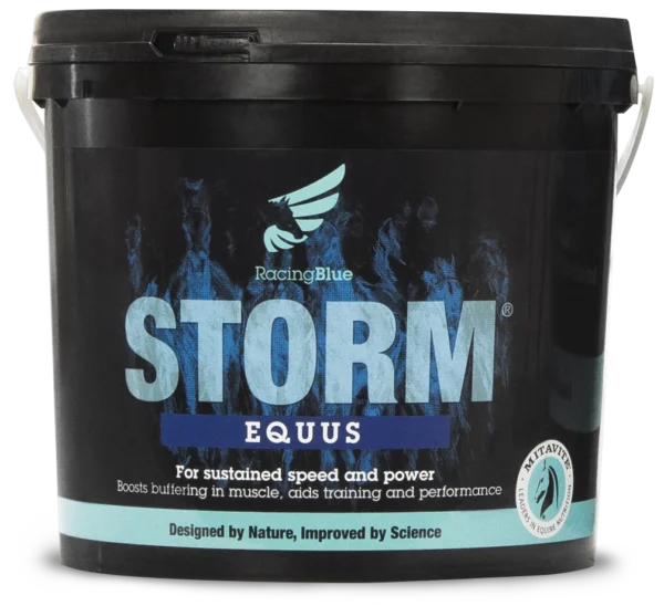 Storm Small